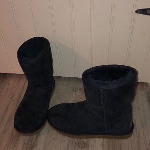 navy blue short classic uggs